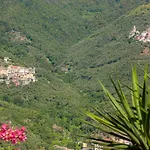 Dell'erta - Levanto Apartamento