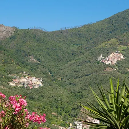 Dell'erta - Levanto *